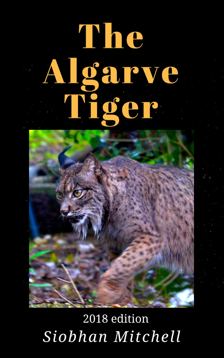 book cover 3 (1)